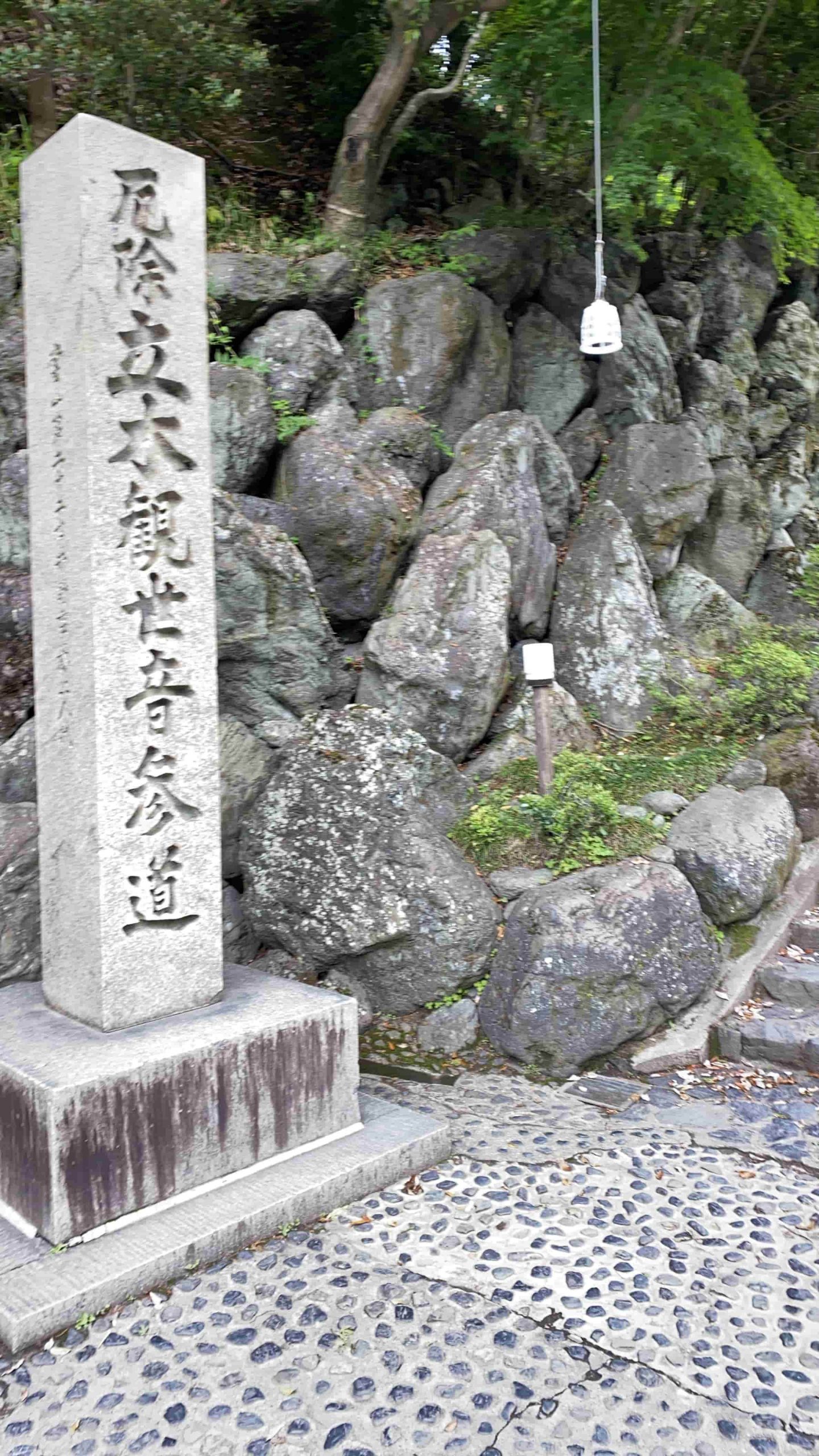 暑熱順化トレーニング