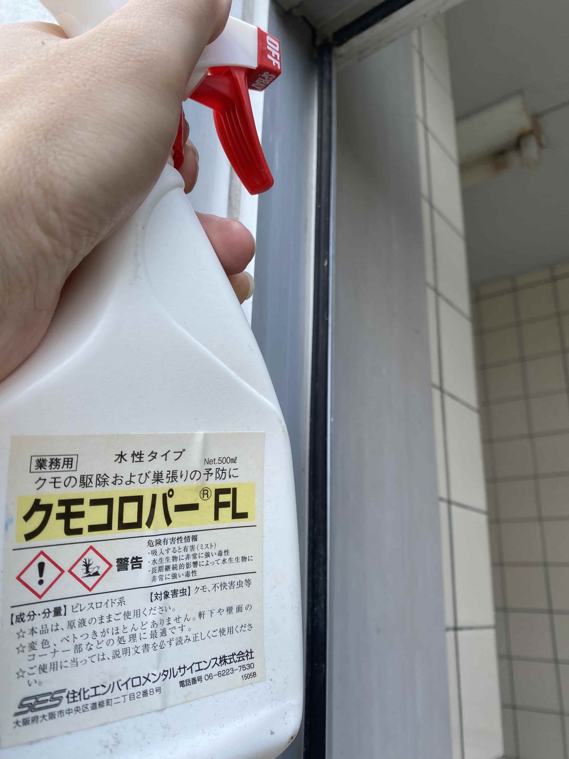 「継続は力なり」気になる蜘蛛の巣も・・・